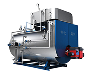 �͵�FGRȼ��������¯-һ������ʽ