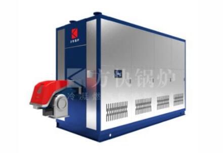 ȼ���������ˮ��¯--����ʽ